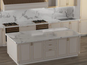 Kitchen 5 3D Model