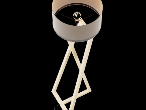 Modern floor lamp 2 Model 3D