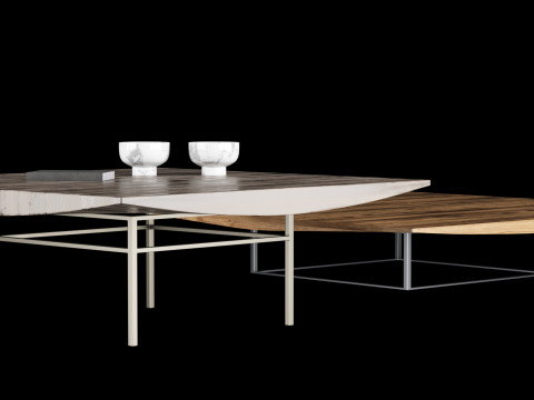Modern coffe table 2 with decor 3Dモデル