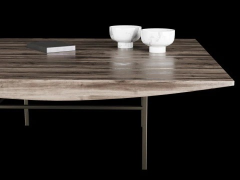 Modern coffe table 2 with decor 3D Model