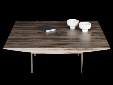 Modern coffe table 2 with decor 3D Model