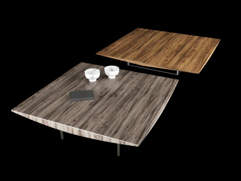Modern coffe table 2 with decor 3D Model