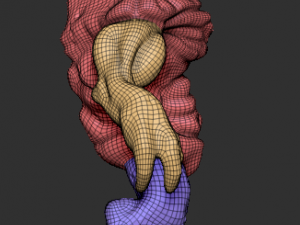 colossus beast Model 3D