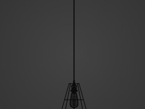 Pendant cage lamp with Bulb 3D Model