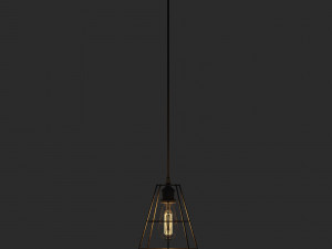 Pendant cage lamp with Bulb 3D Model