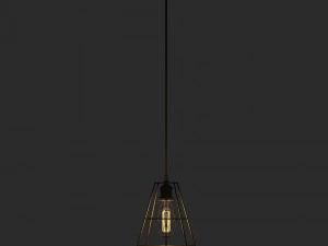 Candeeiro suspenso tipo gaiola com l&acirc;mpada Modelo 3D