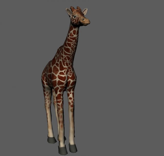 giraffe 3D 模型 .c4d .max .obj .3ds .fbx .stl .blend 