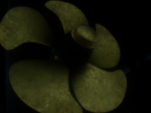 Fregata classe ANZAC MEKO HMAS BALLARAT FFH 155 modello Modello 3D