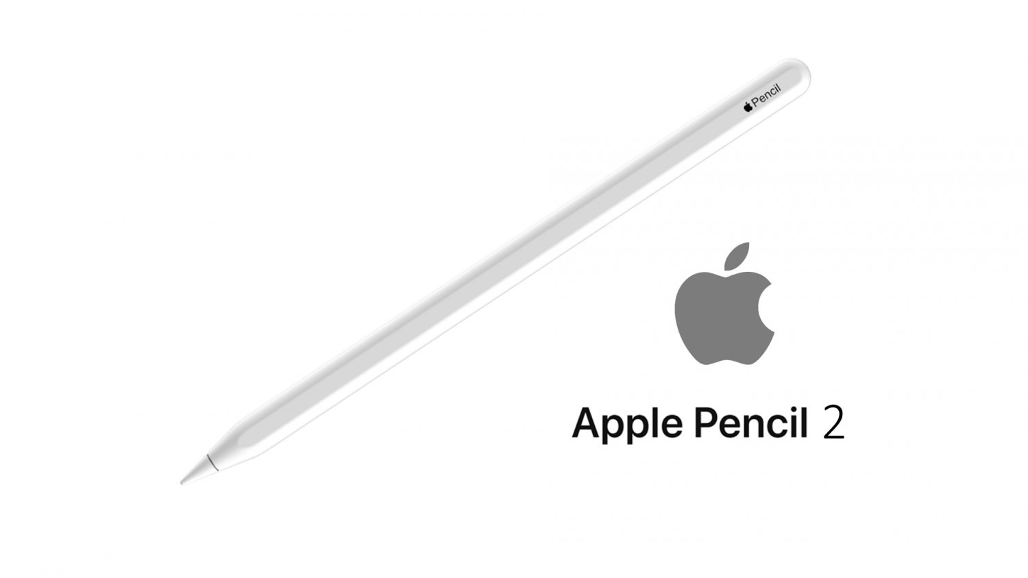 apple pencil 2 3D Model