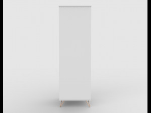 elona single wardrobe 3D 모델