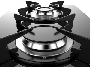 fogatti cooktop 2 burners v200 3D Model