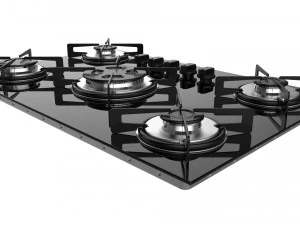 kookplaat suiker 5 branders fg5305vp 3D Model