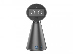 mykie robot gray 3D Model
