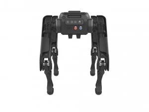 boston dynamics spot black 3D Model