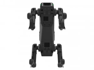boston dynamics spot black 3D Model