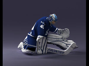 hockey goalkeeper 1007 3D Model