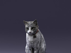 cat 0413 3D Model