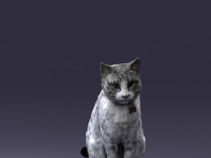 cat 0413 3D Model