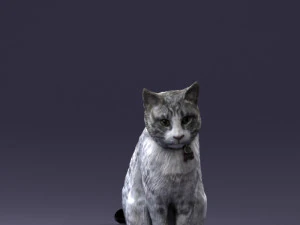 cat 0413 3D Model