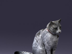 cat 0413 3D Model