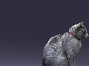 cat 0413 3D Model
