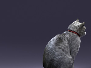 cat 0413 3D Model