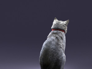 cat 0413 3D Model
