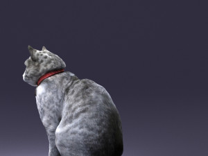 cat 0413 3D Model