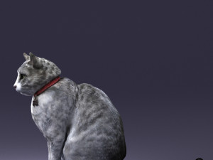 cat 0413 3D Model