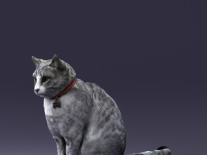 cat 0413 3D Model