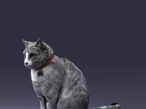 cat 0413 3D Model
