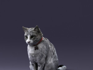 cat 0413 3D Model
