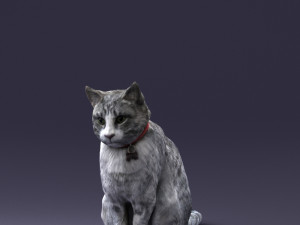 cat 0413 3D Model