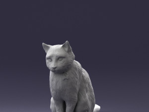 cat 0413 3D Model