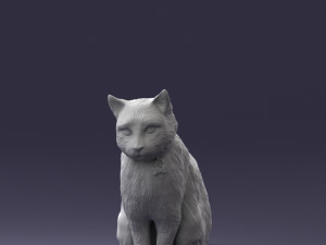 cat 0413 3D Model