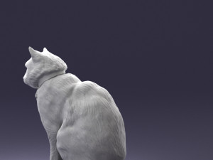 cat 0413 3D Model