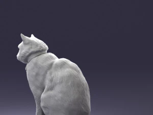 cat 0413 3D Model