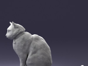 cat 0413 3D Model