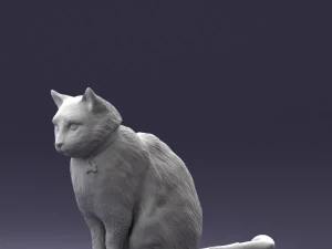 cat 0413 3D Model