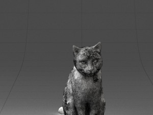 cat 0413 3D Model