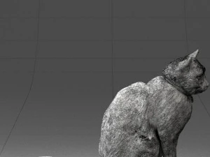 cat 0413 3D Model