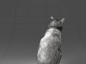 cat 0413 3D Model