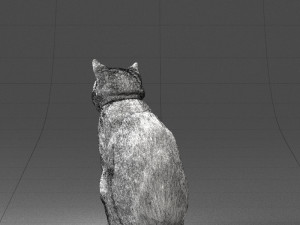 cat 0413 3D Model
