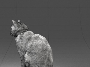 cat 0413 3D Model