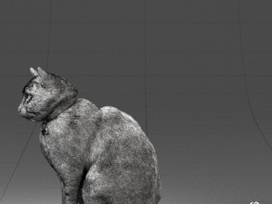 cat 0413 3D Model