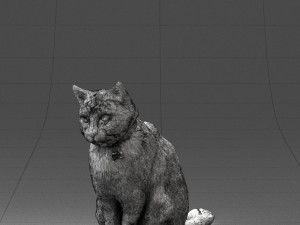 cat 0413 3D Model