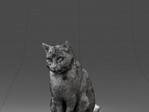 cat 0413 3D Model
