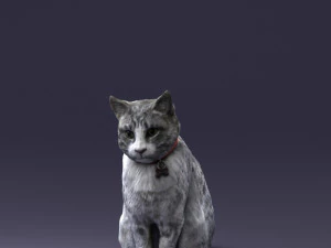cat 0413 3d print ready 3D Print Model