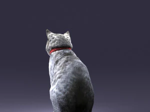 cat 0413 3d print ready 3D Print Model