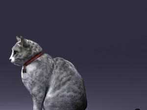 cat 0413 3d print ready 3D Print Model